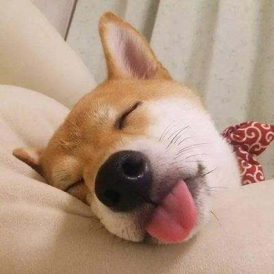 timg (1).jpg